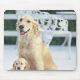 The Golden Retriever is a relatively modern and Mouse Pad