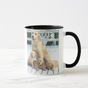 The Golden Retriever is a relatively modern and Mug