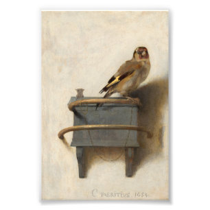 The Goldfinch by Carel Fabritius Photo Print
