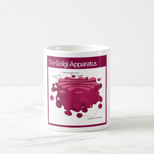 The Golgi apparatus Golgi complex Diagram Coffee Mug (Center)