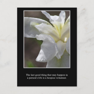 The good of a hospice volunteer postcard