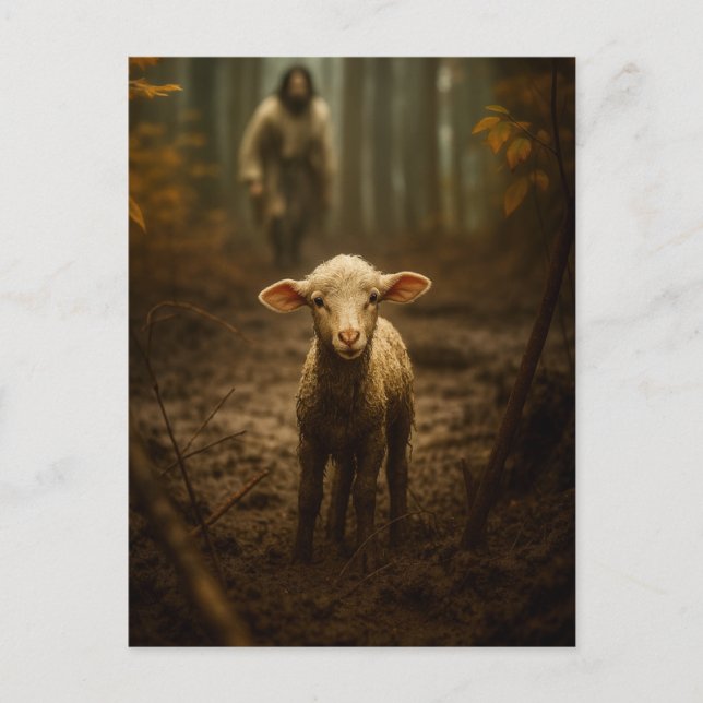 The Good Shepherd and the Lost Lamb – Jesus & Lamb Postcard (Front)