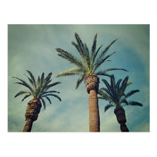 Vintage Palm Trees Postcards | Zazzle.com.au