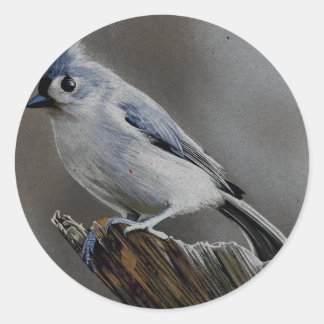 The Grace of the Tufted Titmouse Classic Round Sticker