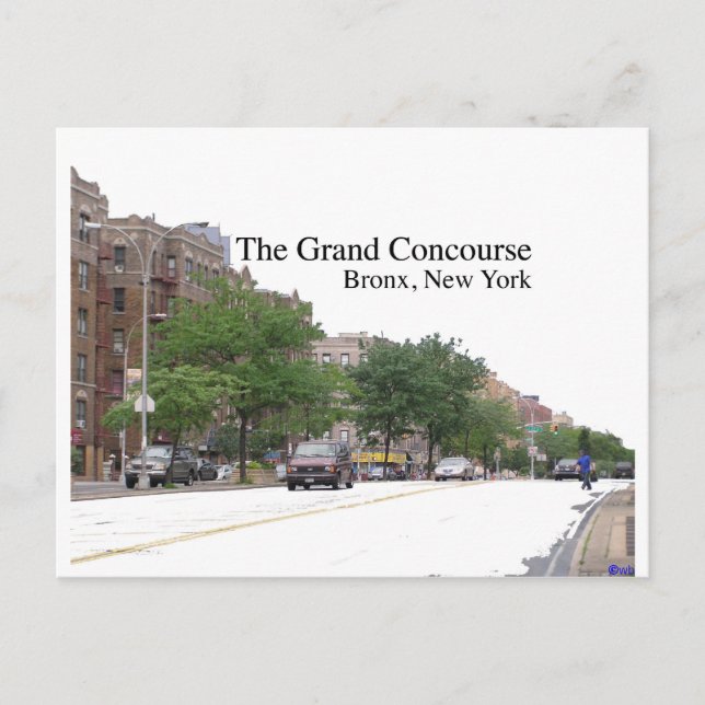 The Grand Concouse, Bronx, NY Postcard (Front)