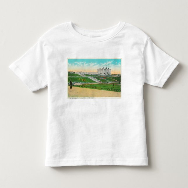 The Grandstand at the GardensButte, MT Toddler T-Shirt (Front)