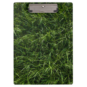 The Grass is Always Greener Clipboard