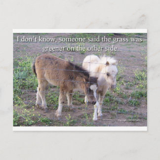 The Grass is Greener Postcard