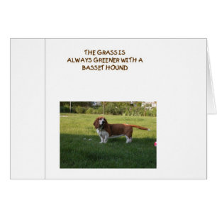 THE GRASS IS GREENER WITH A BASSET HOUND