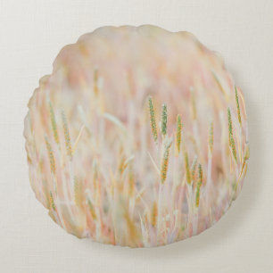 THE GRASSLAND WAS TURNED INTO PASTEL-COLORED BY HE ROUND CUSHION