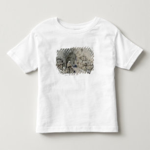 The Grave of Little Nell Toddler T-Shirt