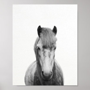 The gray horse, black and white horse photography poster