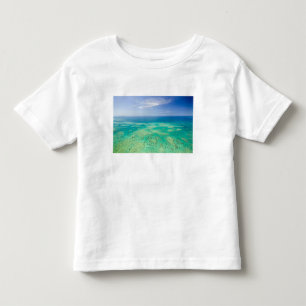 The Great Barrier Reef, aerial view of Green 2 Toddler T-Shirt