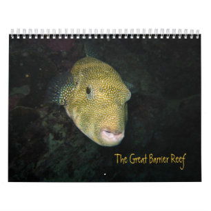 The Great Barrier Reef, Australia Calendar