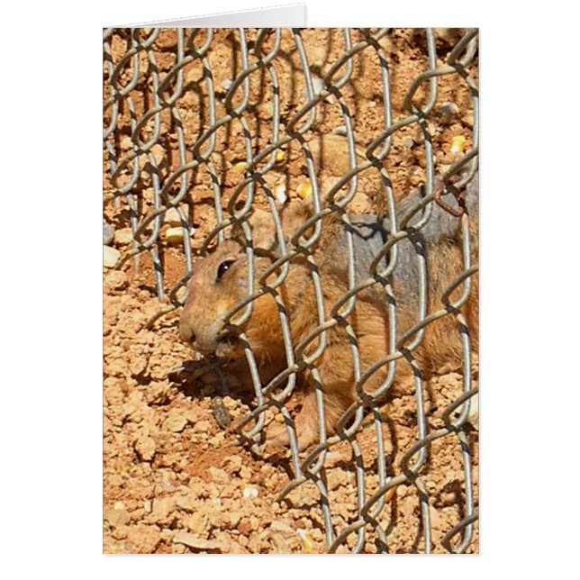 the great escape (Front)