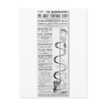 The Great Forepaugh Show Advertisement