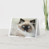 "THE GREAT GATSBY" Greeting Card