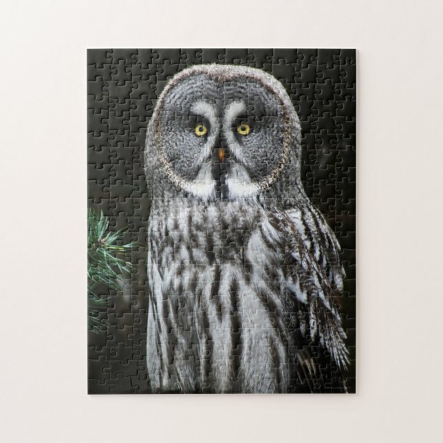The Great Grey Owl 11x14 252pc jpcnm Jigsaw Puzzle (Vertical)