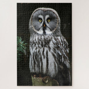 The Great Grey Owl 20x30 1014pc jpcna Jigsaw Puzzle