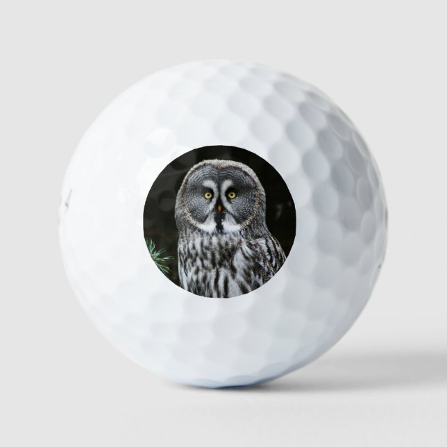 The Great Grey Owl be6 gbcna Golf Balls (Front)