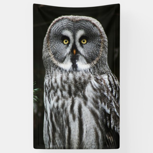 The Great Grey Owl bnrcn Banner (Vertical)