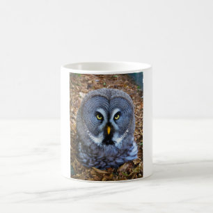 The Great Grey Owl Strix Nebulosa Lapland Owl Coffee Mug