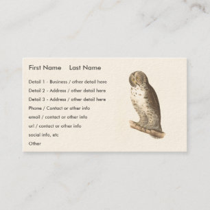 The Great Grey Owl (Strix nebulosa) NY Bird Image Business Card