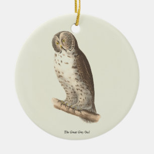 The Great Grey Owl (Strix nebulosa) NY Bird Image Ceramic Ornament