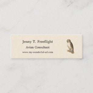The Great Grey Owl (Strix nebulosa) NY Bird Image Mini Business Card