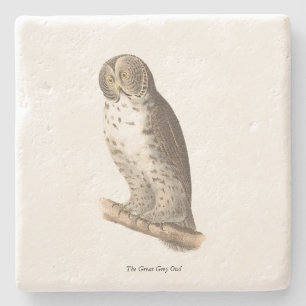 The Great Grey Owl (Strix nebulosa) NY Bird Image Stone Coaster