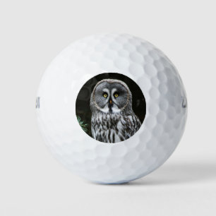 The Great Grey Owl wu gbcnm Golf Balls