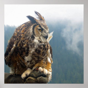 The Great Horned Owl Poster