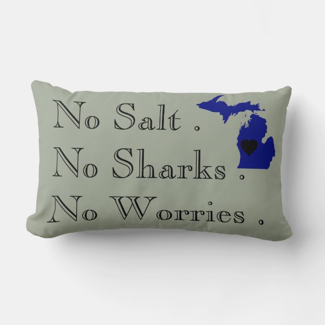 The Great Lakes Lumbar Cushion (Front)