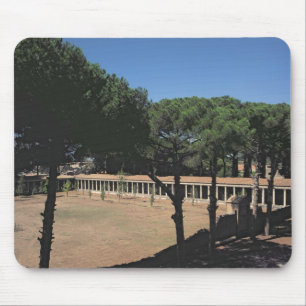 The Great Palaestra Mouse Pad