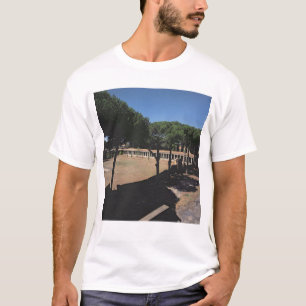 The Great Palaestra T-Shirt
