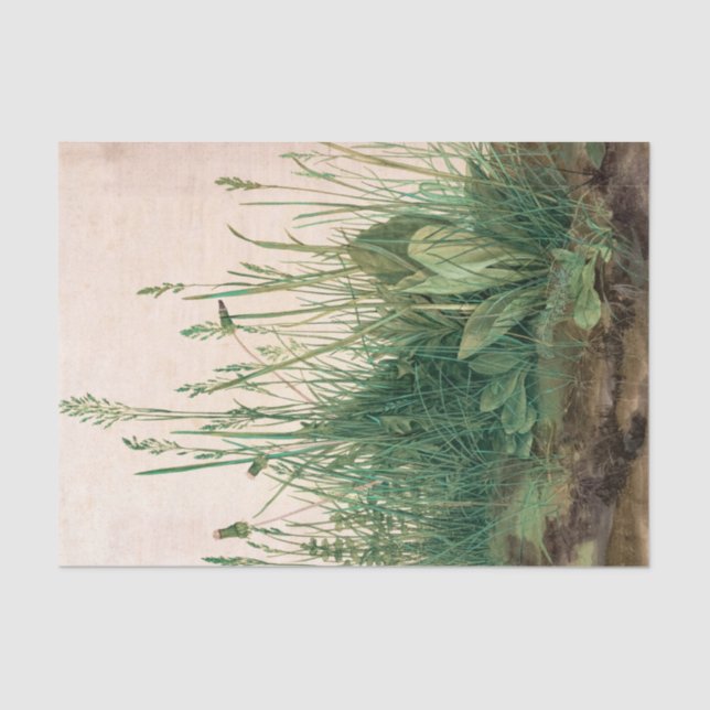 The Great Piece of Turf, 1503 by Albrecht Durer Tissue Paper (Front)