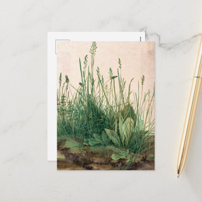 The Great Piece of Turf by Albrecht Durer Holiday Postcard (Front/Back In Situ)