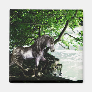 The Great River Divide Magnet