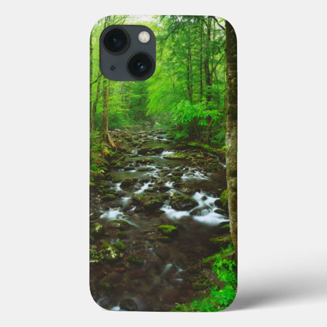 The Great Smoky Mountains Case-Mate iPhone Case (Back)