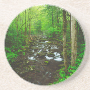 The Great Smoky Mountains Coaster