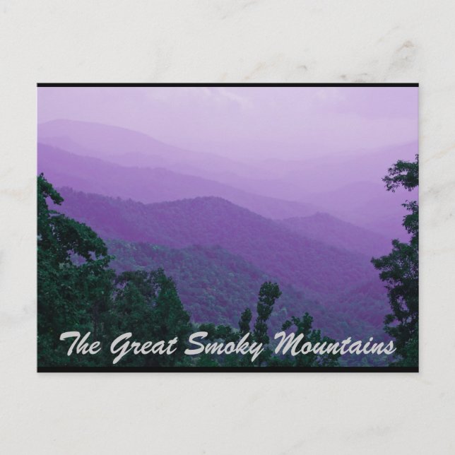 The Great Smoky Mountains Postcard (Front)