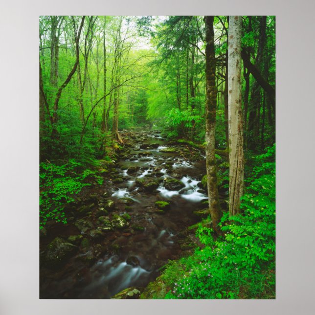 The Great Smoky Mountains Poster (Front)