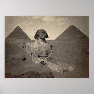 The Great Sphinx of Giza, Egypt - Poster