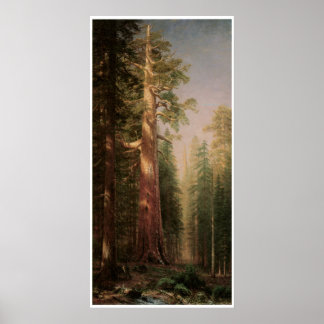 The Great Trees Poster