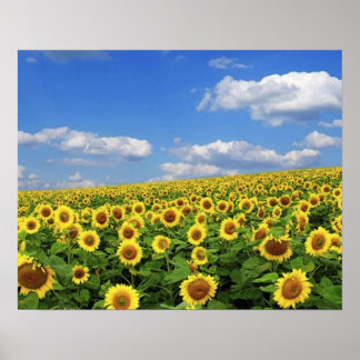The_Greatness_of_Nature_(5) Poster