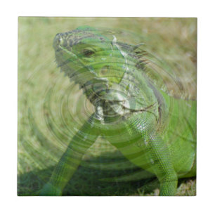 The Green Iguana Ceramic Tile