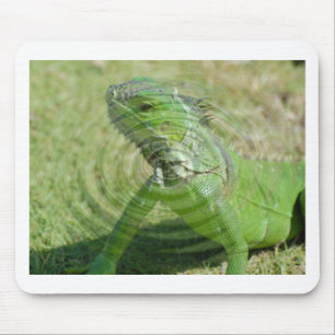 The Green Iguana Mouse Pad