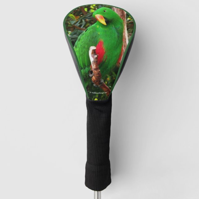 "The Green Orator" Eclectus Parrot Golf Head Cover (Front)