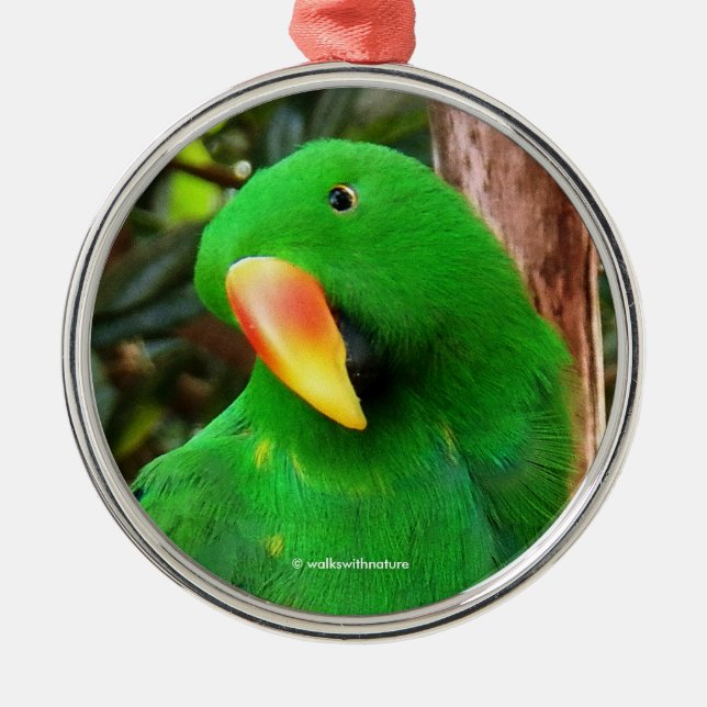 "The Green Orator" Eclectus Parrot Metal Tree Decoration (Front)