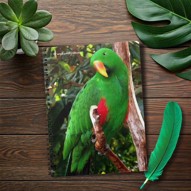 "The Green Orator" Eclectus Parrot Notebook (The Green Orator Eclectus Parrot Journal Cover Photo)